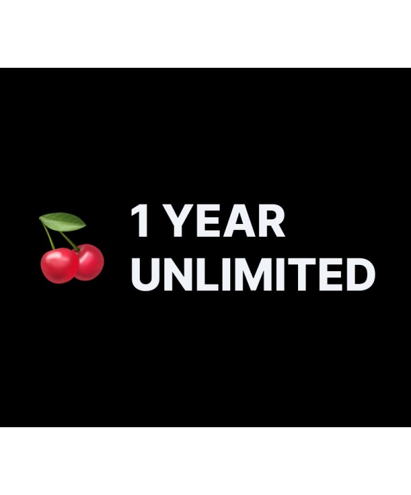 AINDZ 1 Jahr Unlimited Subscription Key GLOBAL